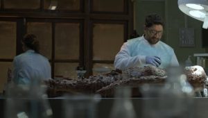 Asur: 1×1